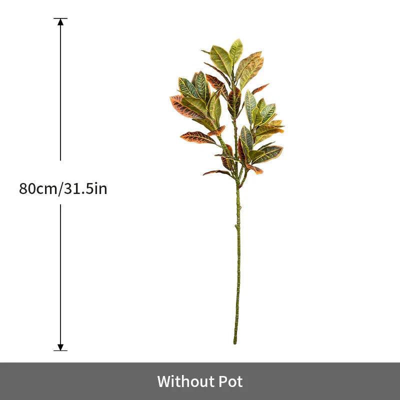 Dlight Decor Codiaeum Ficus Tree for Tropical Indoor Floor Decor