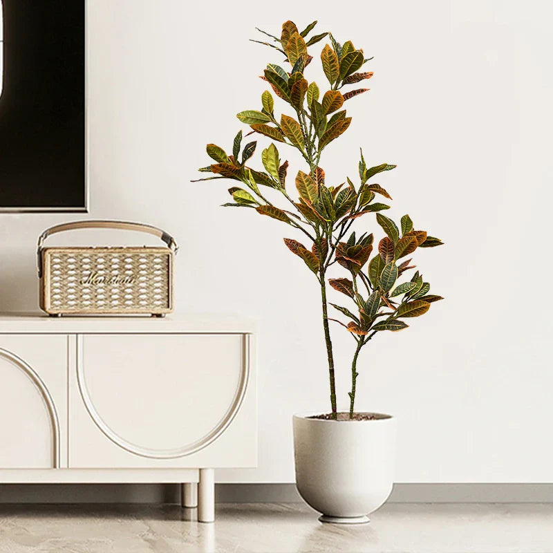 Dlight Decor Codiaeum Ficus Tree for Tropical Indoor Floor Decor